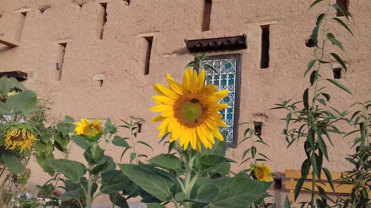 Отель Kasbah Izoran Мидельт Экстерьер фото