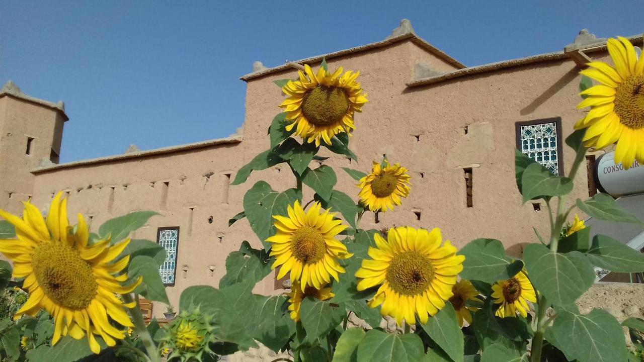 Отель Kasbah Izoran Мидельт Экстерьер фото