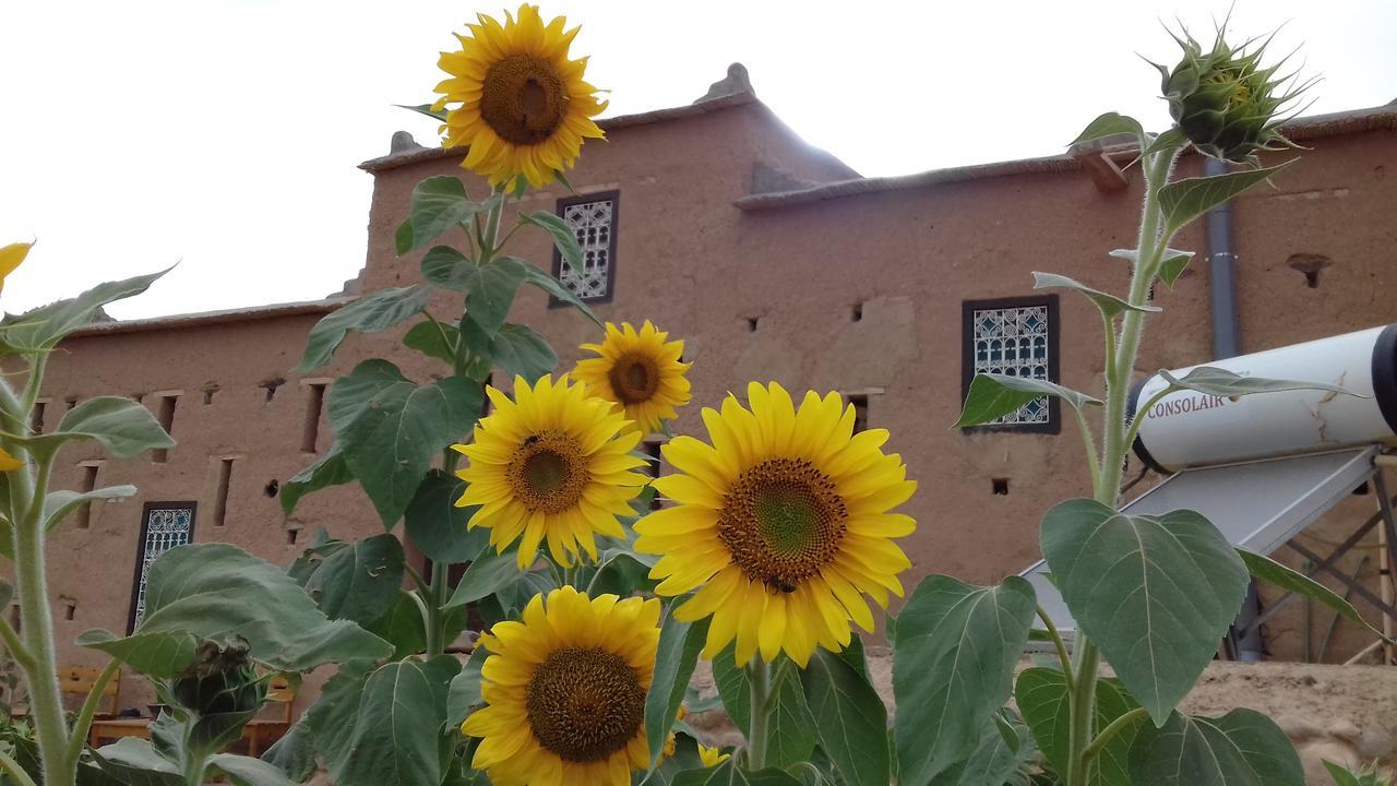 Отель Kasbah Izoran Мидельт Экстерьер фото
