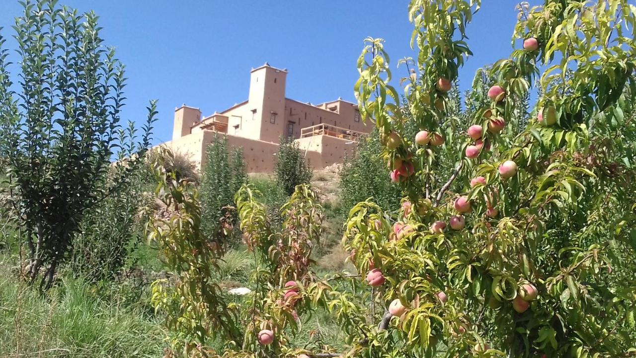 Отель Kasbah Izoran Мидельт Экстерьер фото
